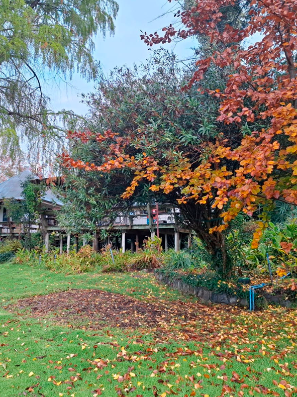 Bienvenidos a Balcón del Lago