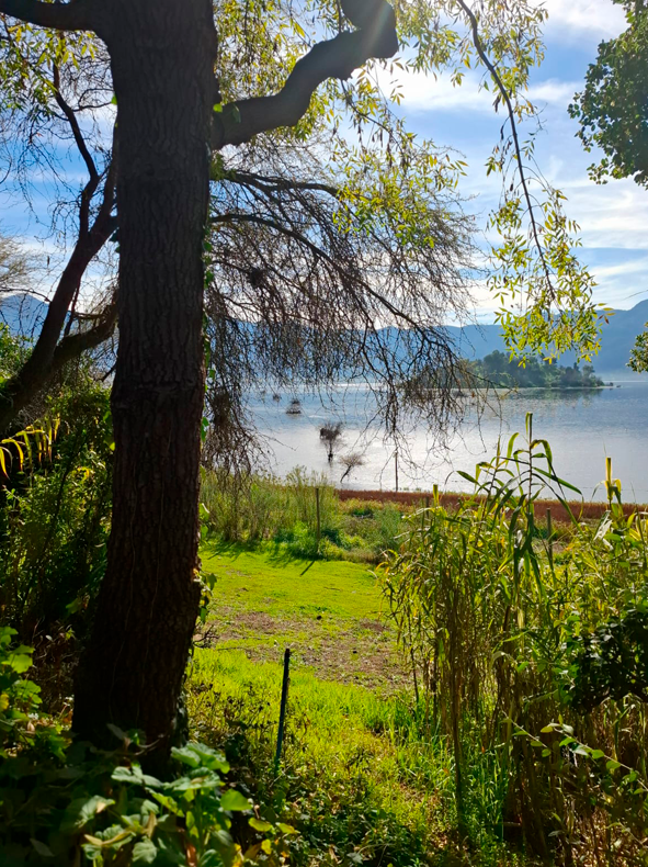 Bienvenidos a Balcón del Lago